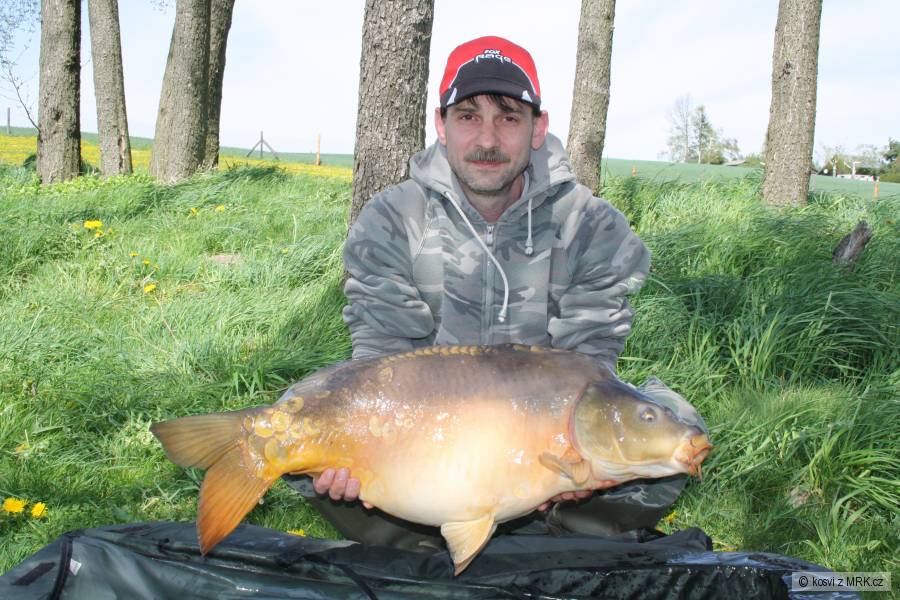Kapr 81 cm a 12 kg