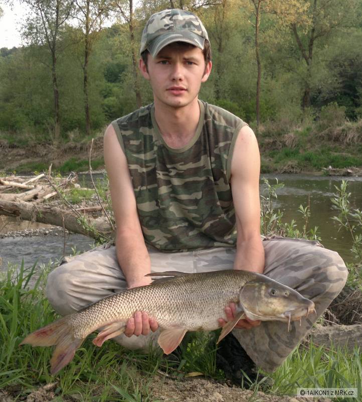 Mrena Severna 71 cm 3,1 kg