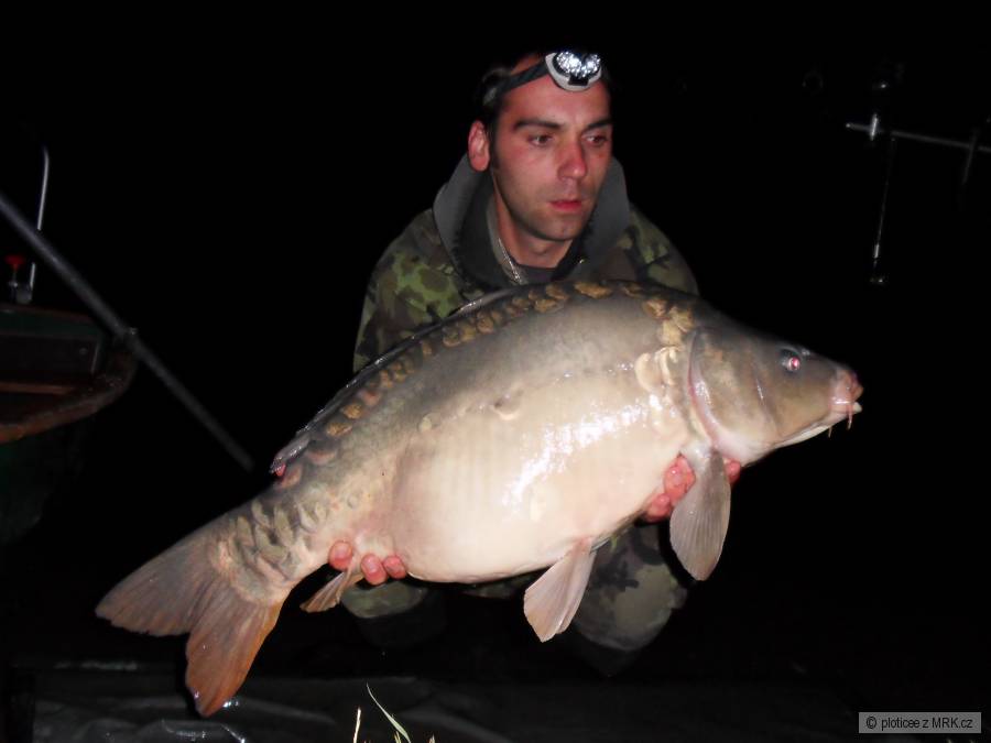 noční Carp