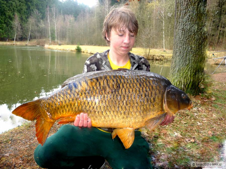 Kapřík 14kg