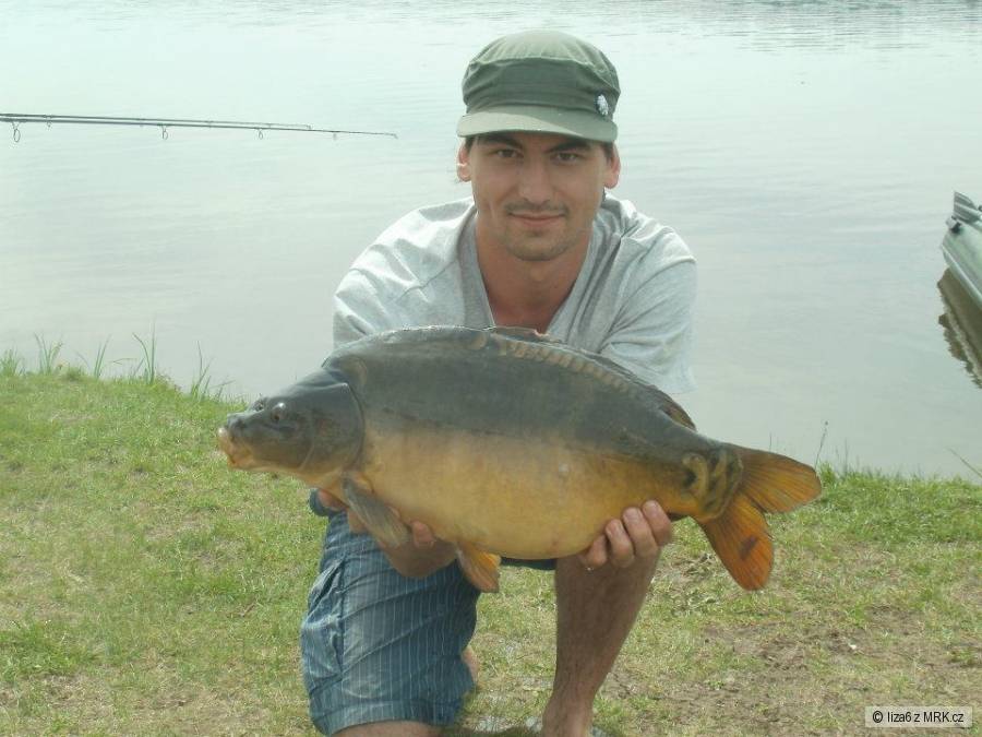 Kapr 55cm 5kg