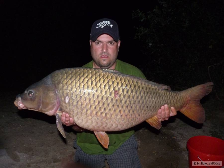Kapřík 20kg