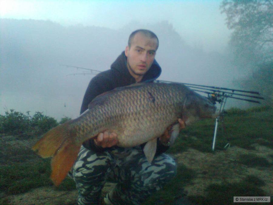 16,5kg