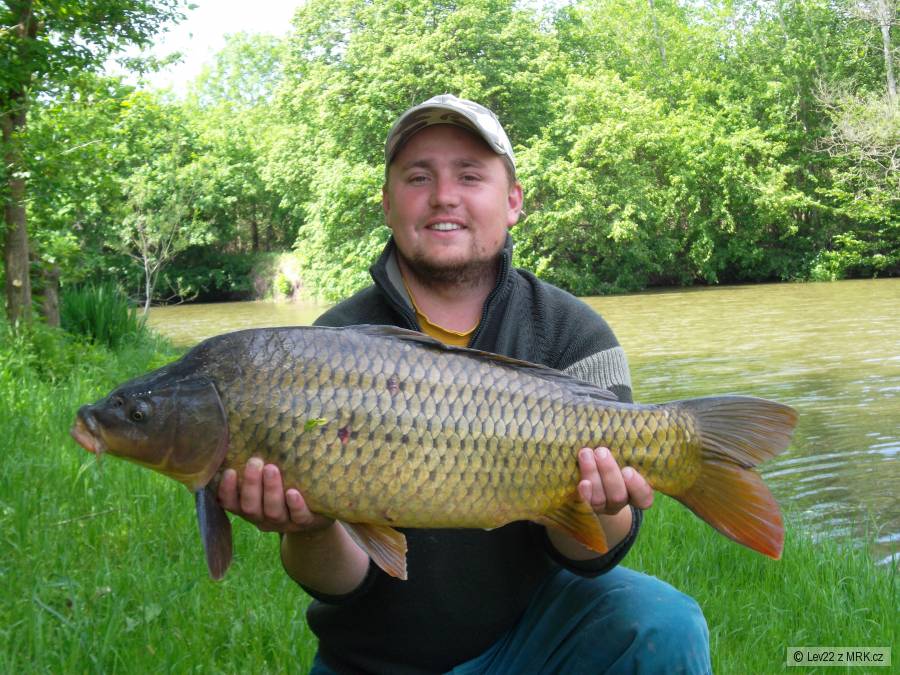 Kapřik 76cm.