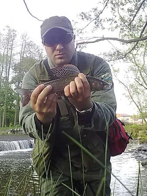 Lip�nek ze Svatavky