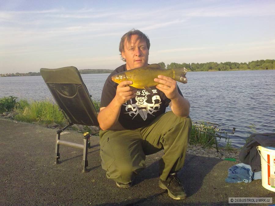 LÍN OBECNÝ