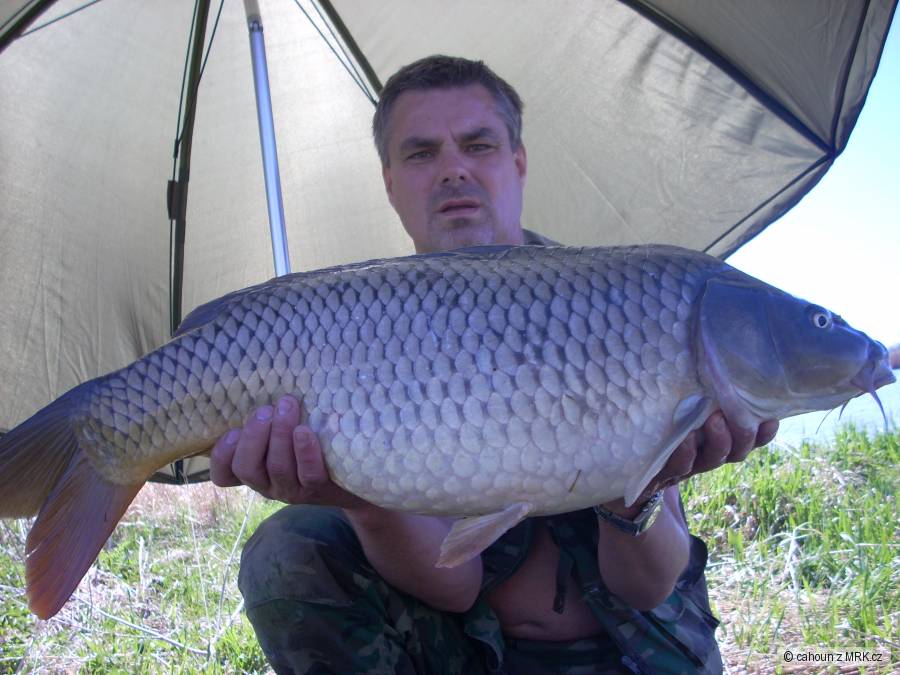 Pěkný šupináč