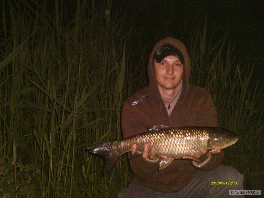 Amur 62