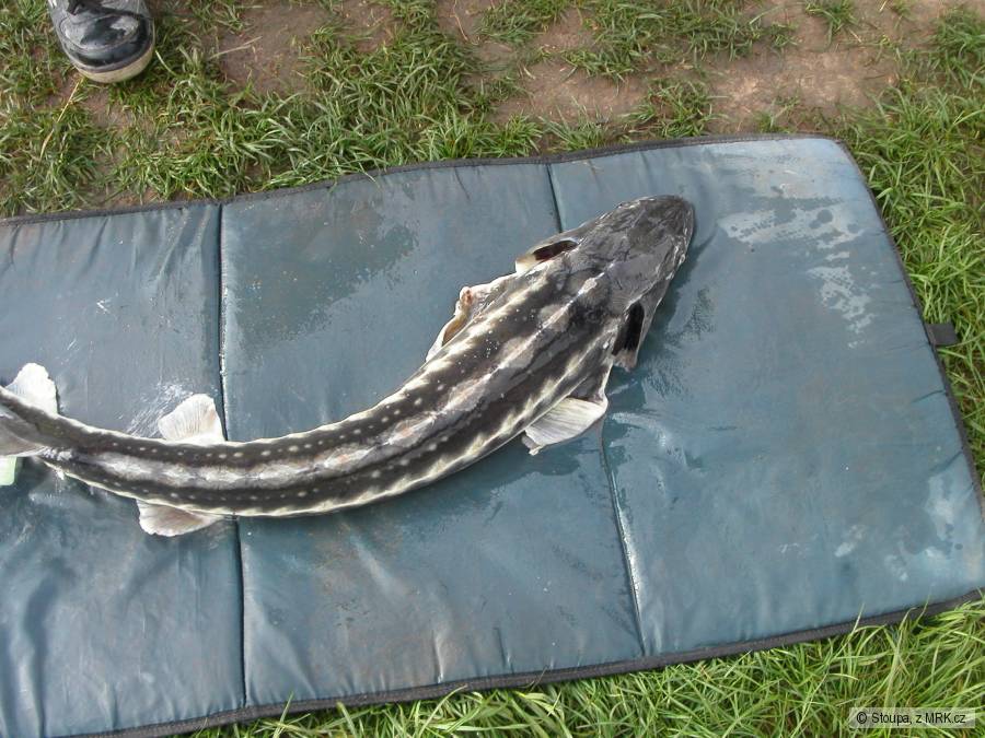soukromak