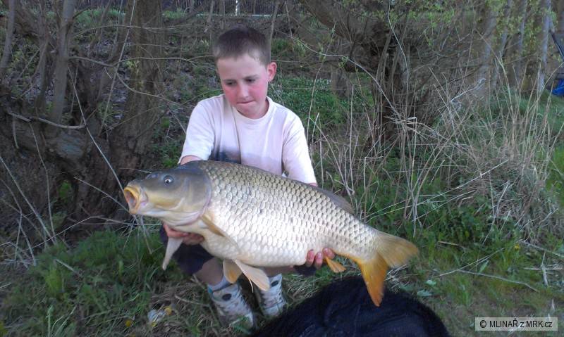 kapr šupík 74cm