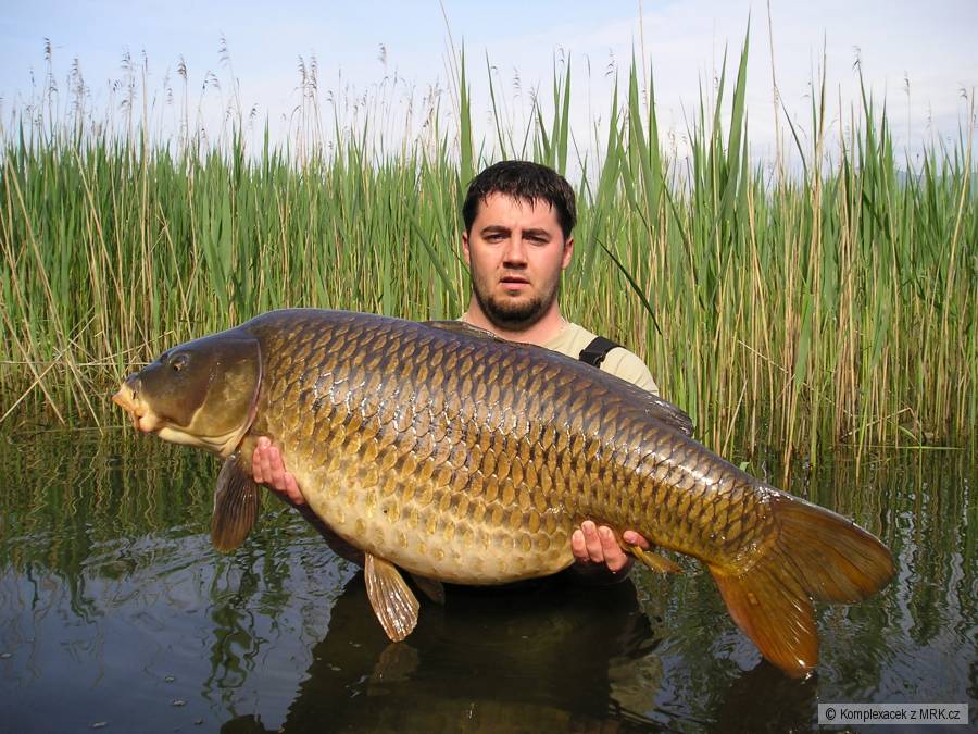 Aktuální osobáček :-)