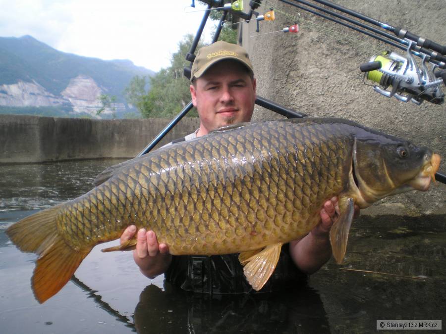 98cm 16,5kg