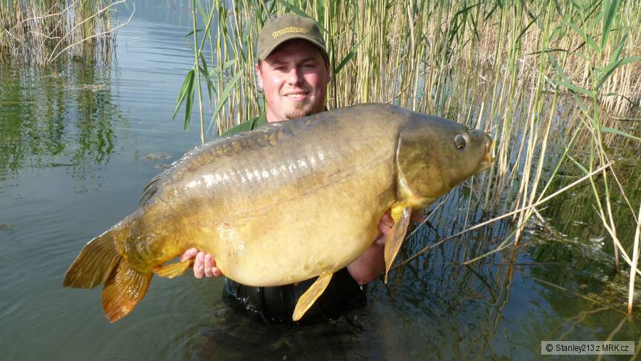 95cm 20,9kg