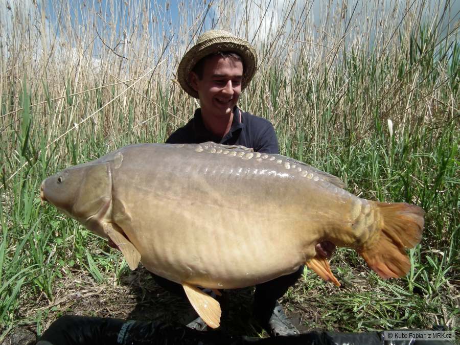 Starbaits Spicy Salmon