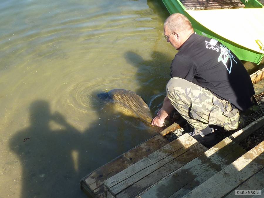 catch and release