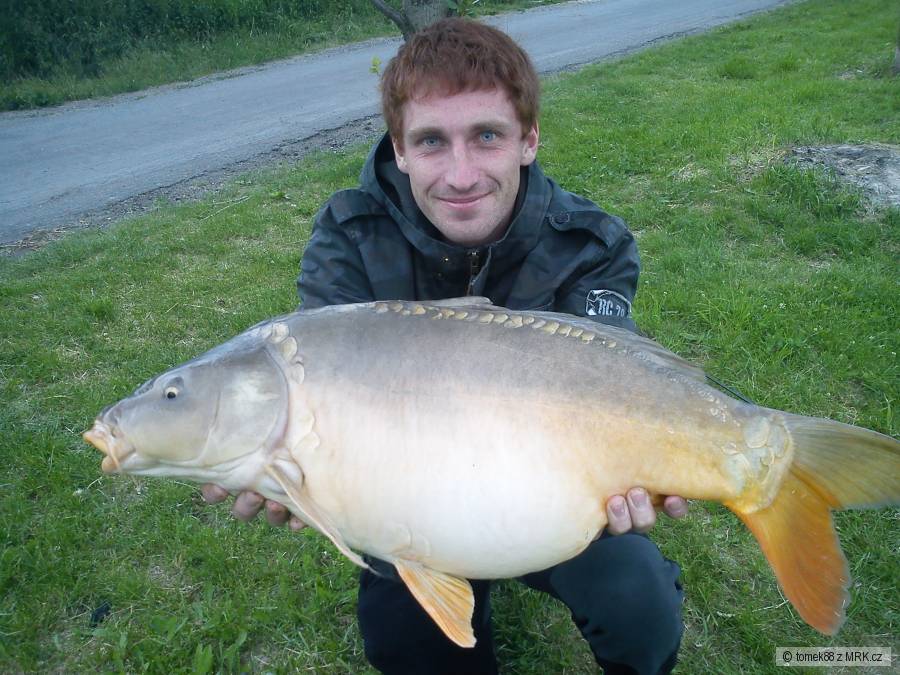 73cm 8kg
