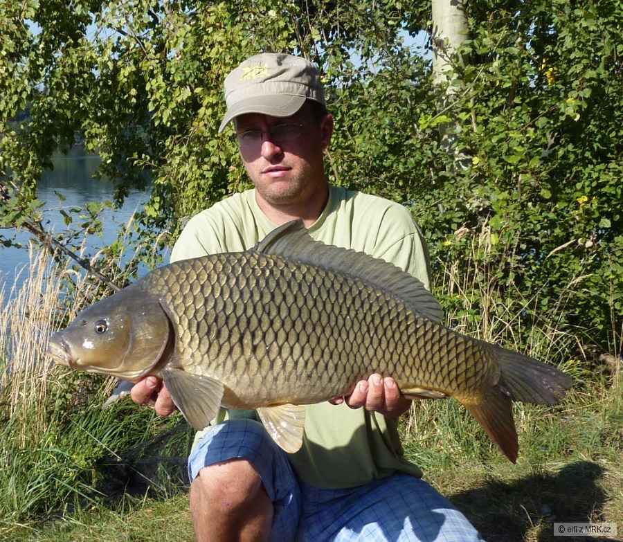 72cm