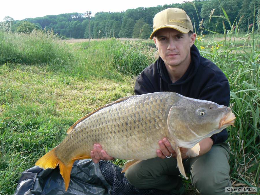 9,5kg 80cm