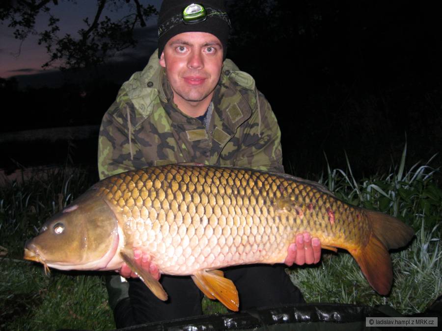 Kapřík z Hejlova 10,4 kg