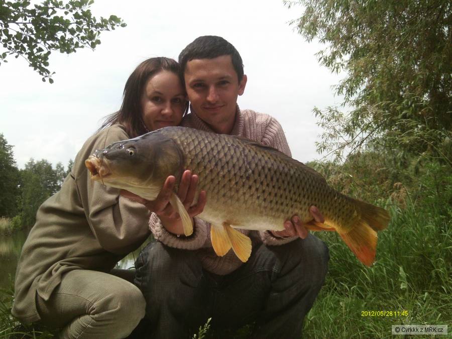 82 cm 8.1 kg
