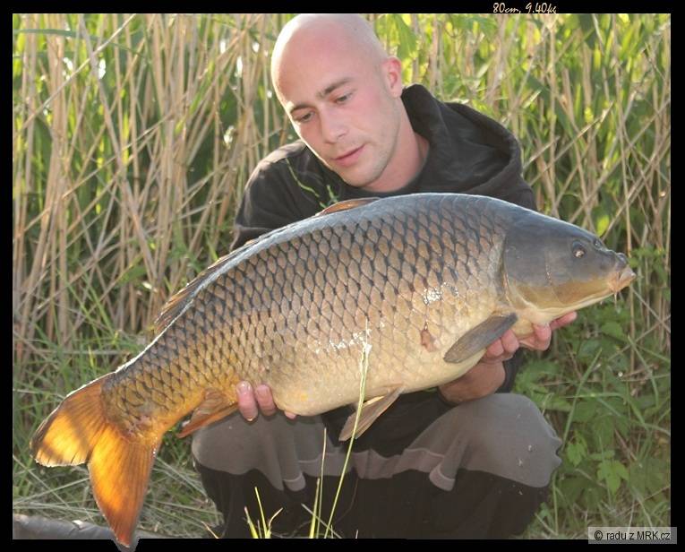 80cm, 9.40kg