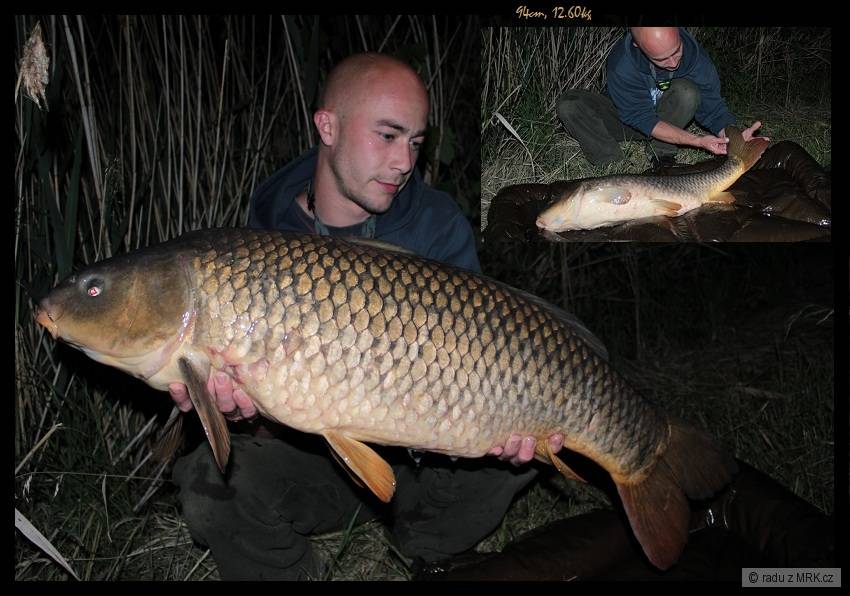 94cm, 12.6kg