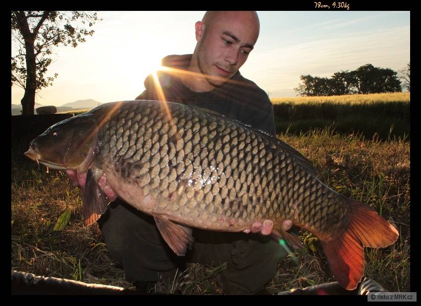 78cm, 9.3kg