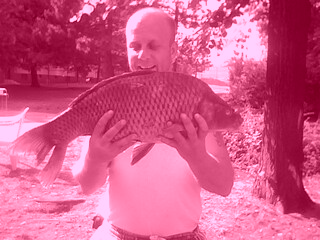 kapr 65,5