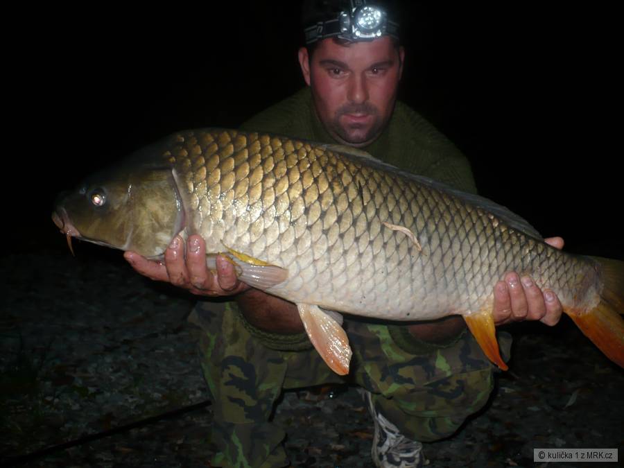 kapr 86cm 10kg