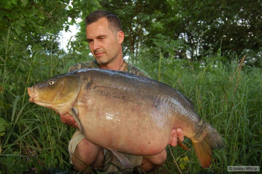 13.80 kg