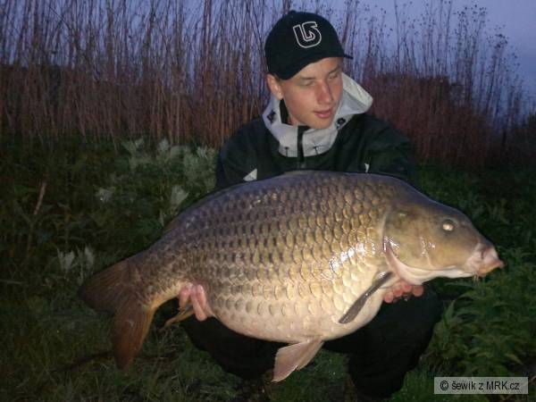 Kapr 17.8kg