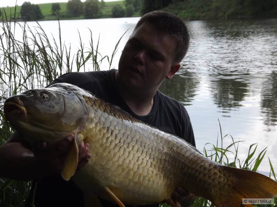 96cm 16,5kg