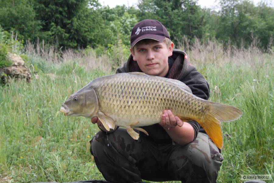 kapr 76 cm a 7,60 kg