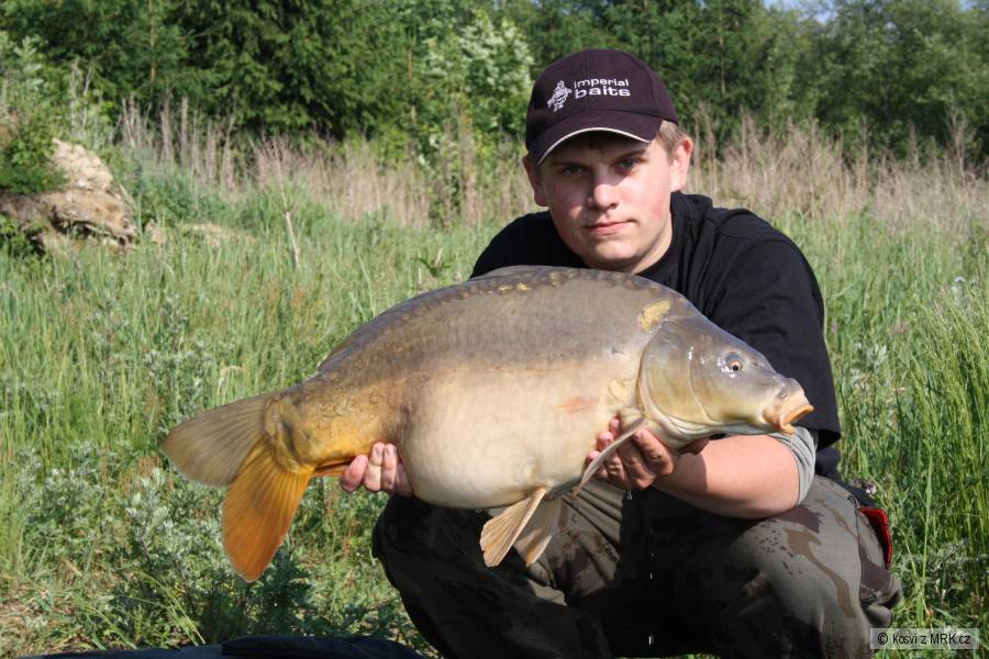 kapr 8,70 kg