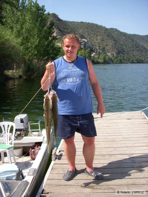 Ebro 2012