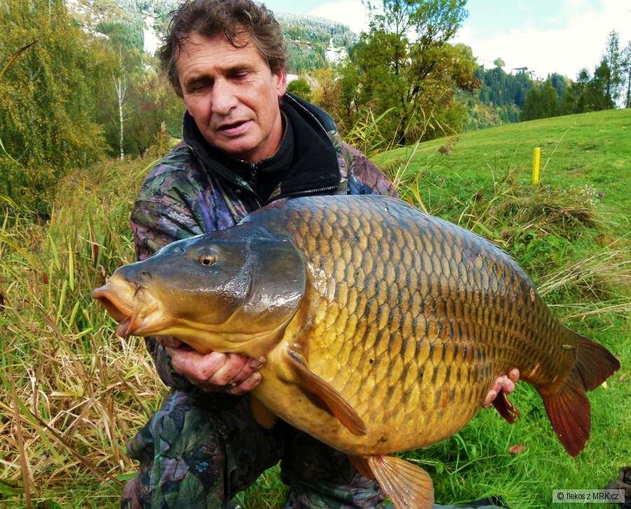 17,50kg
