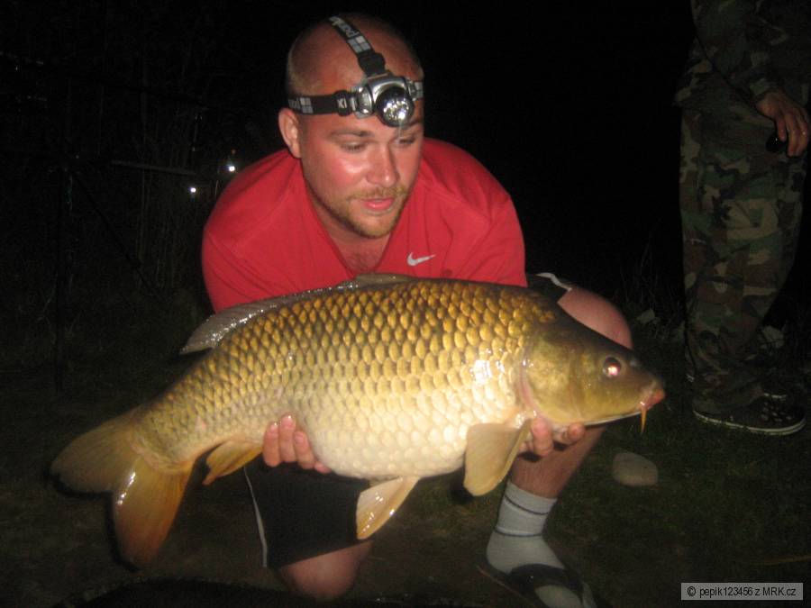 76cm 9.1kg