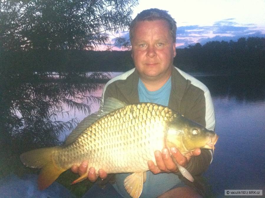 Kapříček 60cm