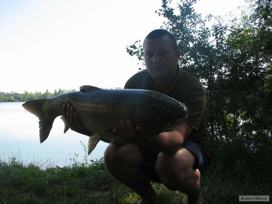 Amur 94 cm - 10 Kg