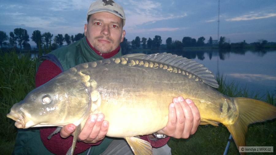 Kapr 68cm