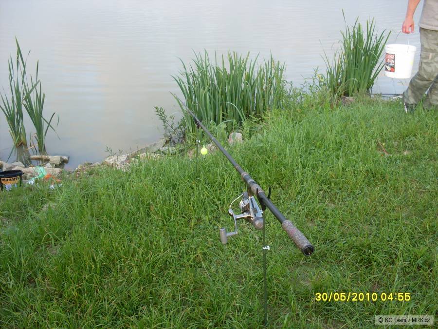 esox