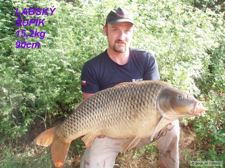 Labácký Big fish