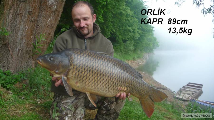 Orlický šupík