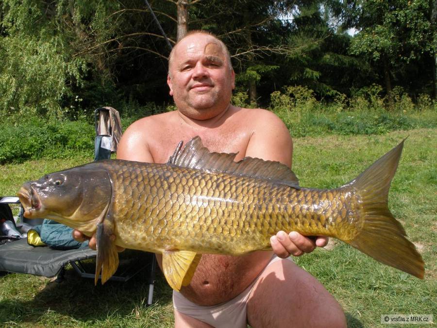 81 cm-11 kg.krása,lovec můj bratr