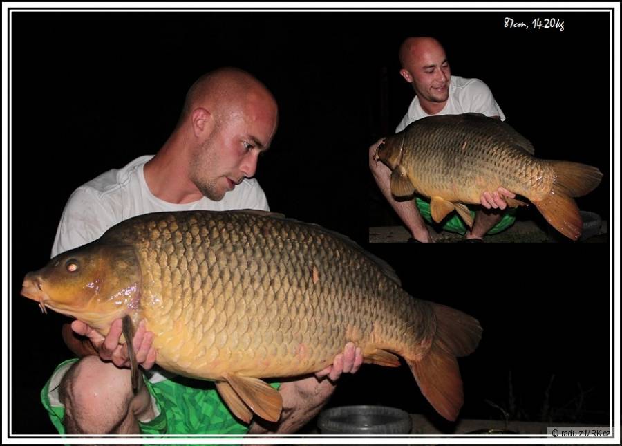 LKbaits