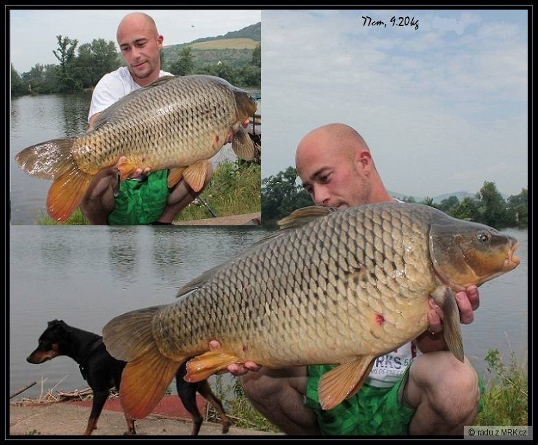 LKbaits