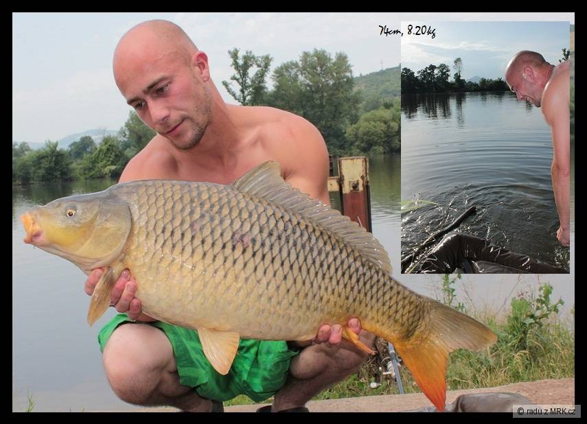 LKbaits