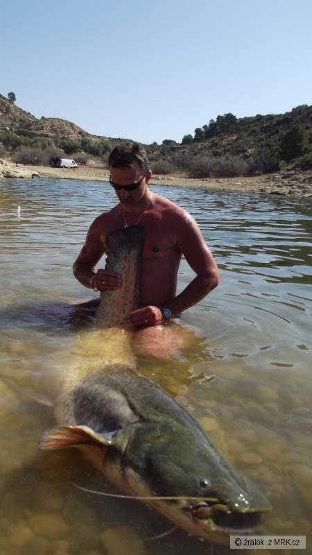 Ebro 187cm-47kg