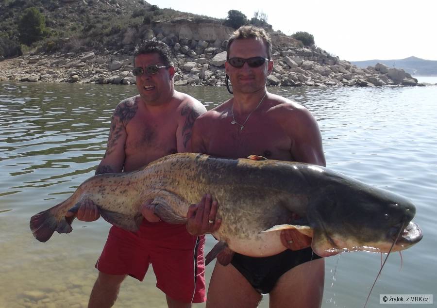 Ebro 187cm-47kg