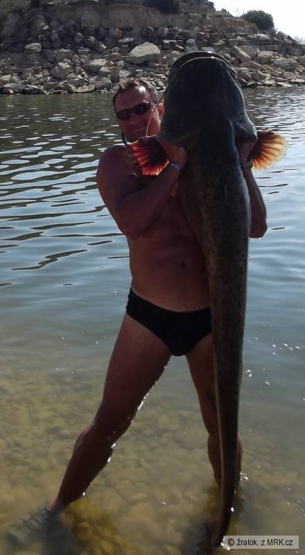 Ebro 187cm-47kg